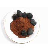 Fermented Black Garlic Powder